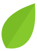 big leaf illustration